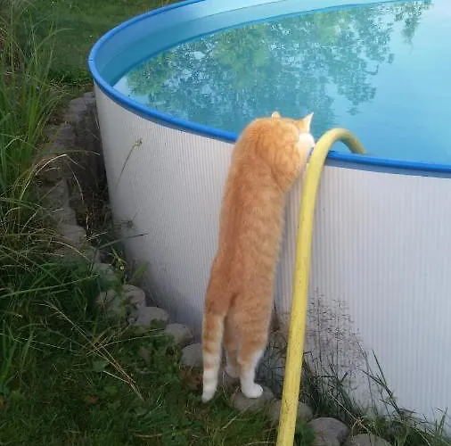 Elke Дом отдыха Альтенберг